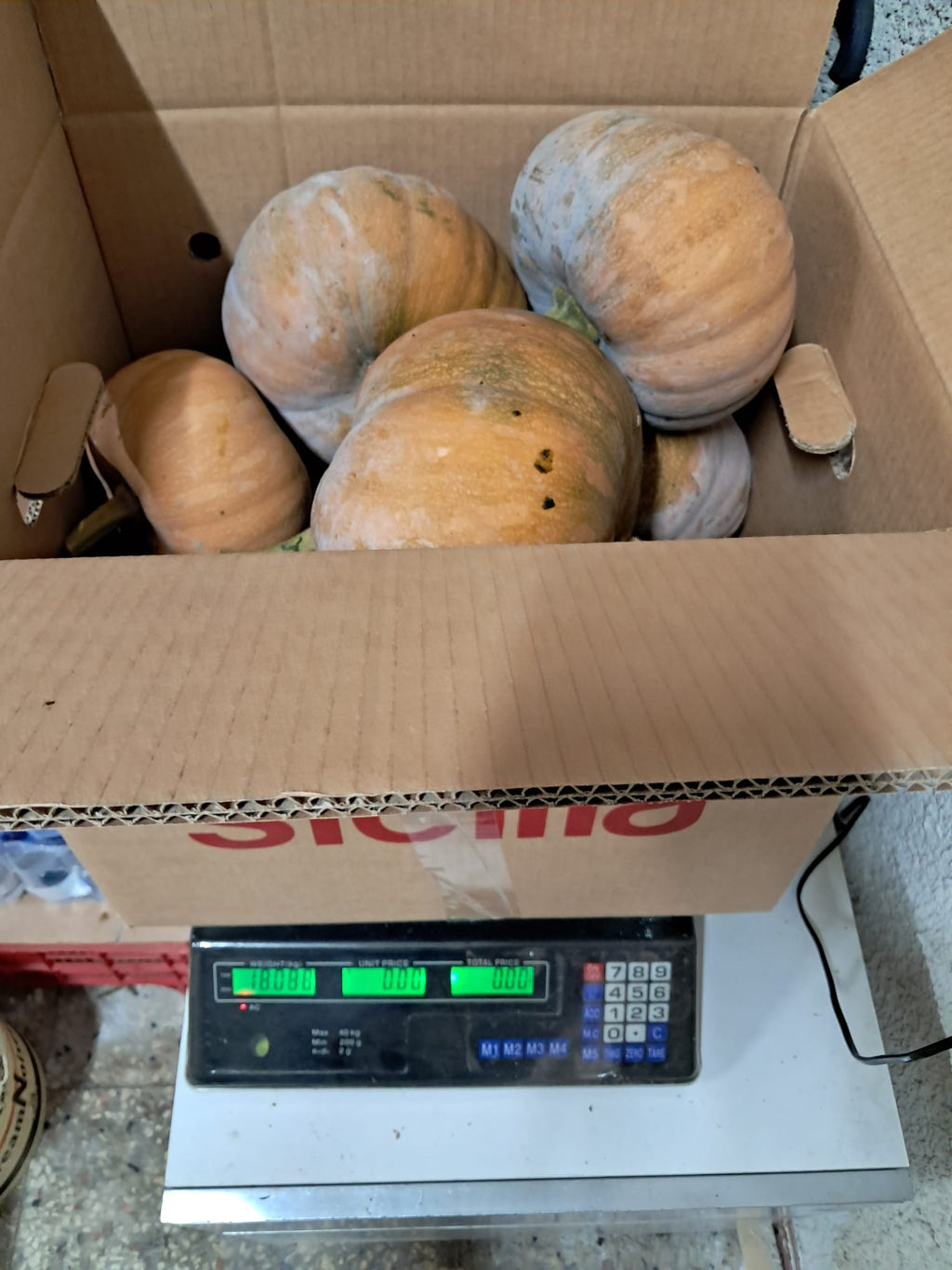 Zucche gialle - 15 kg