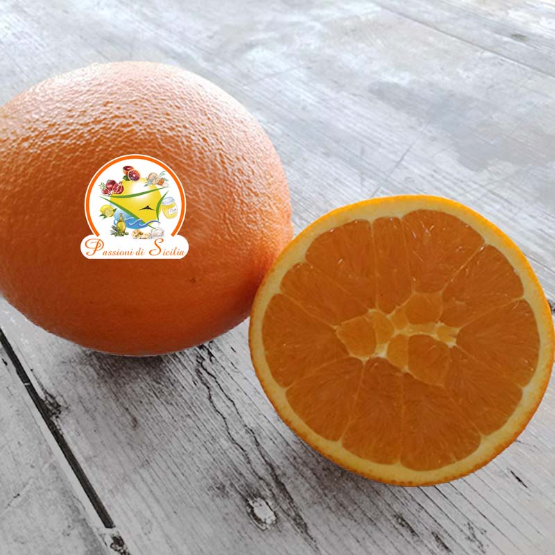 Arance - 1 cartone 14/16 kg