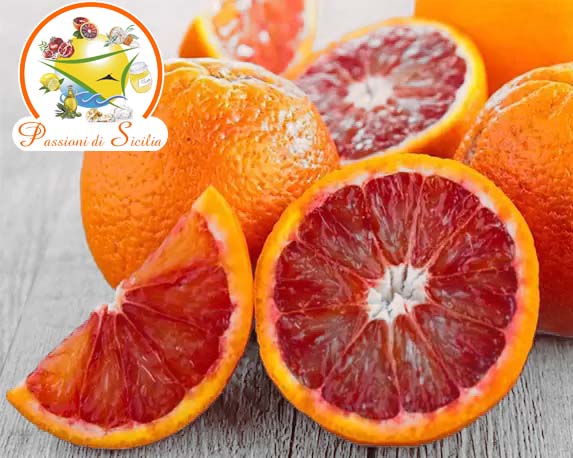 Arance - 1 cartone 14/16 kg