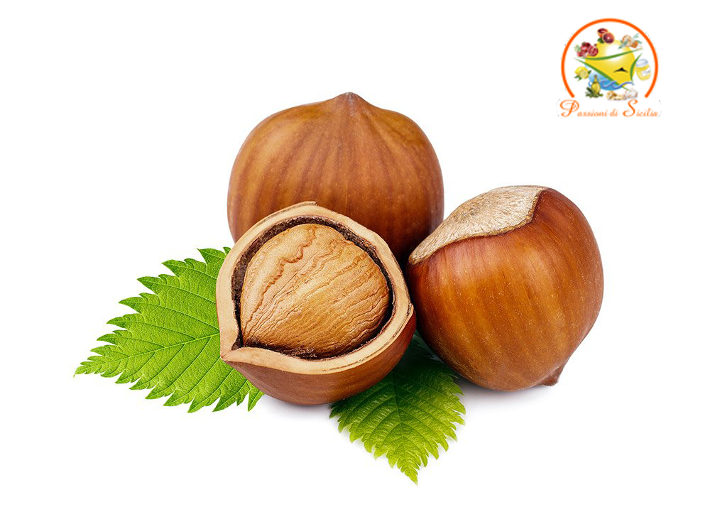 Nocciole crude con guscio - Confezione 1 kg